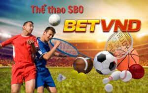 Thể thao SBO BETVND - Sảnh Cược  Xanh Chín Đáng Chơi Nhất Tại BETVND